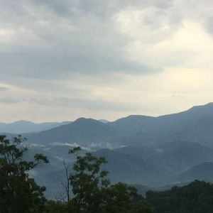 Meet your Posher, Patsy